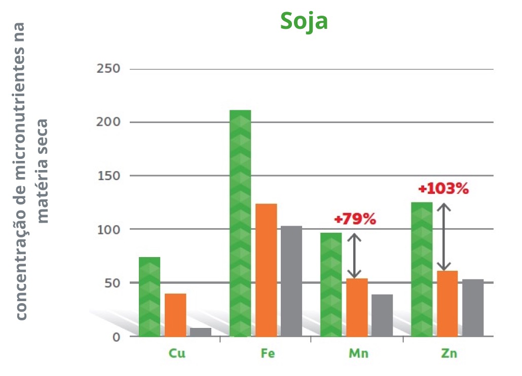 Amino Ultra Soja
