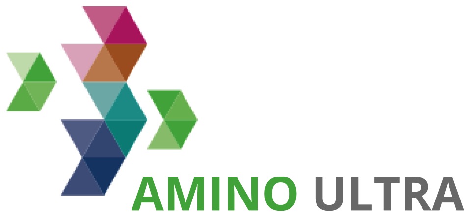 amino logo